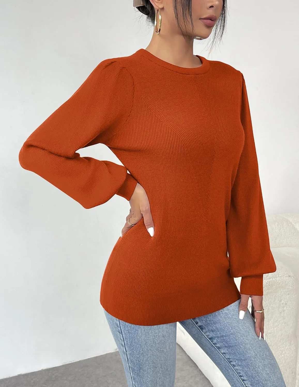 (DE Only) Zeagoo Women's Pullover Knitted Pullover Crew Neck Tops