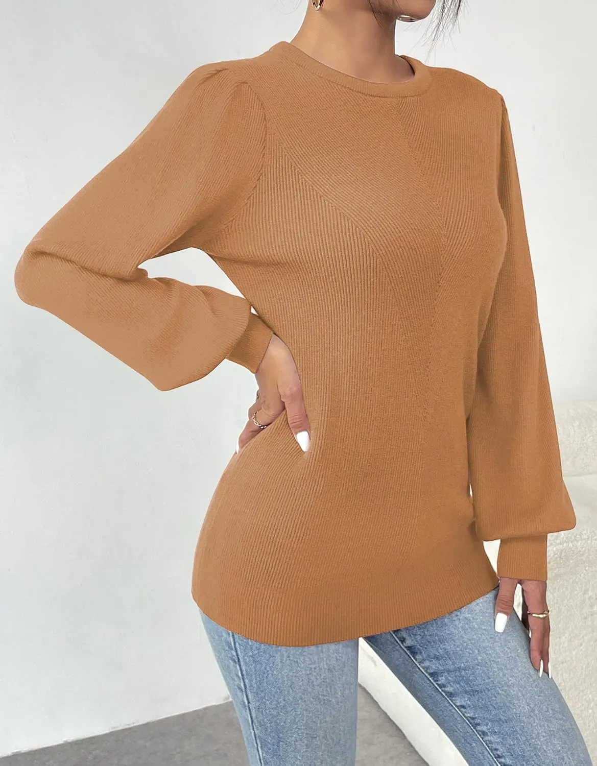 (DE Only) Zeagoo Women's Pullover Knitted Pullover Crew Neck Tops