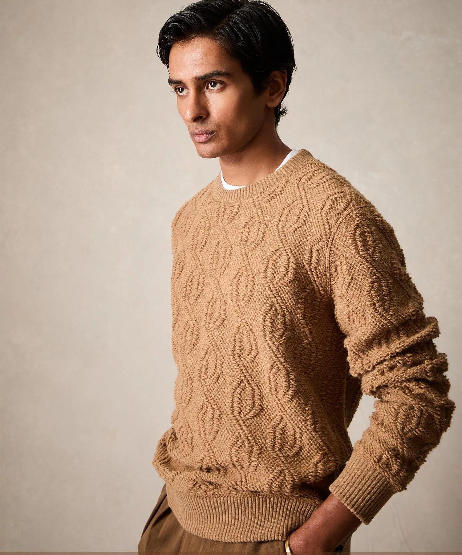 Wool Cable Knit Crewneck Sweater in Camel