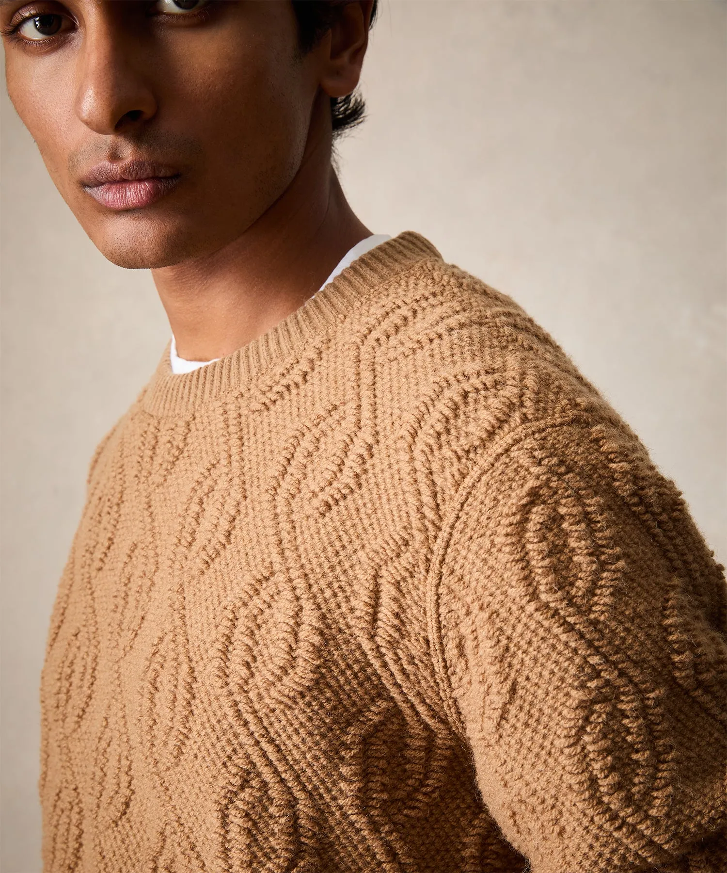 Wool Cable Knit Crewneck Sweater in Camel